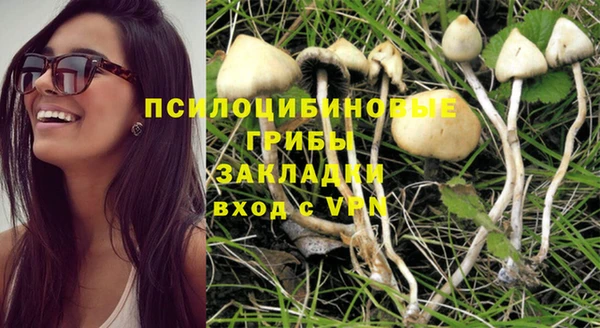 марихуана Богородицк