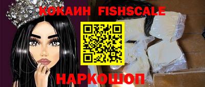 крисы Партизанск