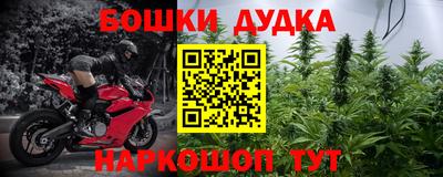гидра Пенза