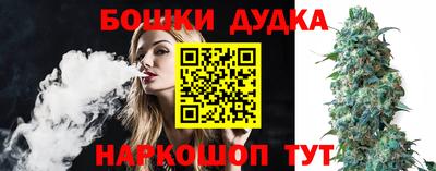 крисы Партизанск