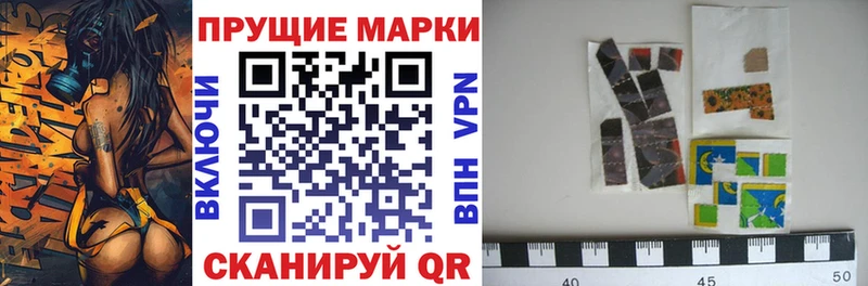 mega вход  Североуральск  Марки 25I-NBOMe 1500мкг  как найти наркотики 