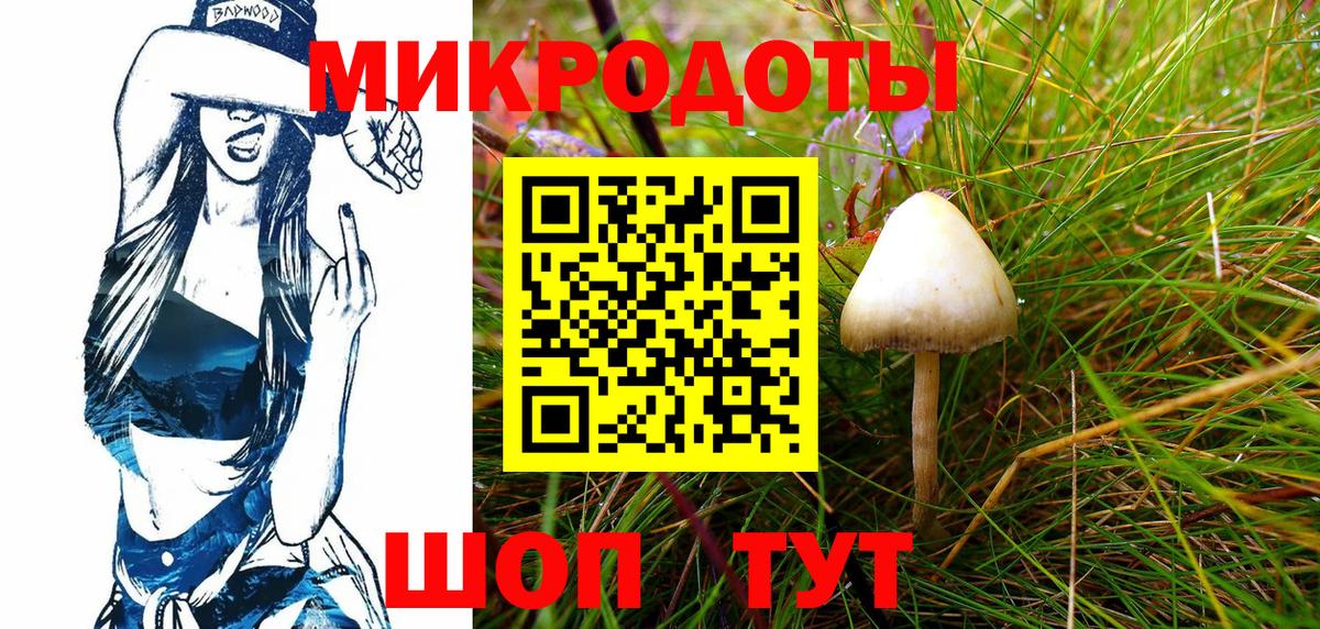 Псилоцибиновые грибы Psilocybine cubensis Североуральск