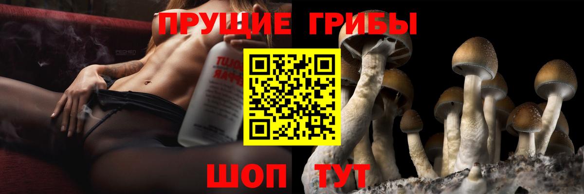 Североуральск  Галлюциногенные грибы Magic Shrooms  Вход с VPN  Псилоцибиновые грибы ЛСД 
